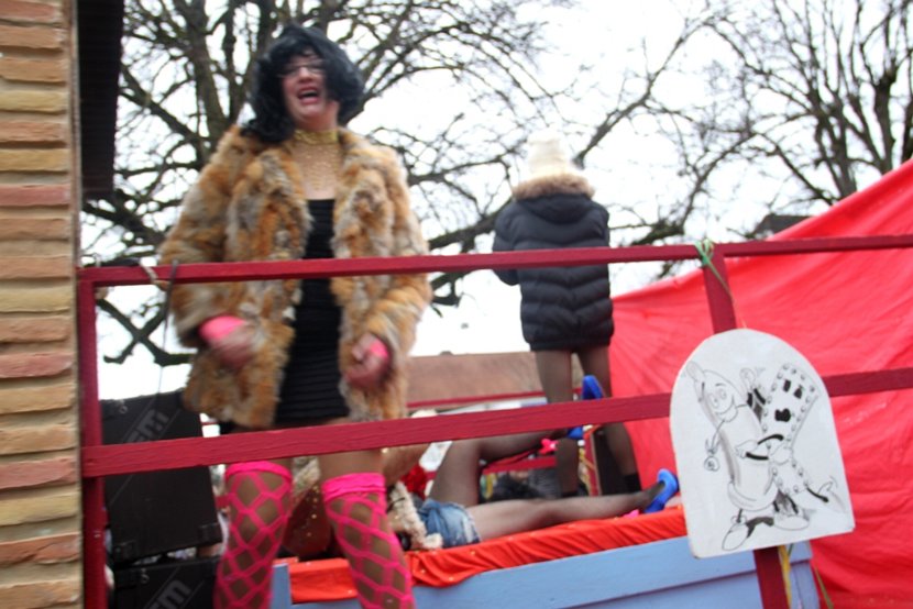 Sarmenstorf Fasnachtsumzug 16.02.2014 (133)